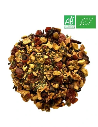 Détox au citron & gingembre BIO