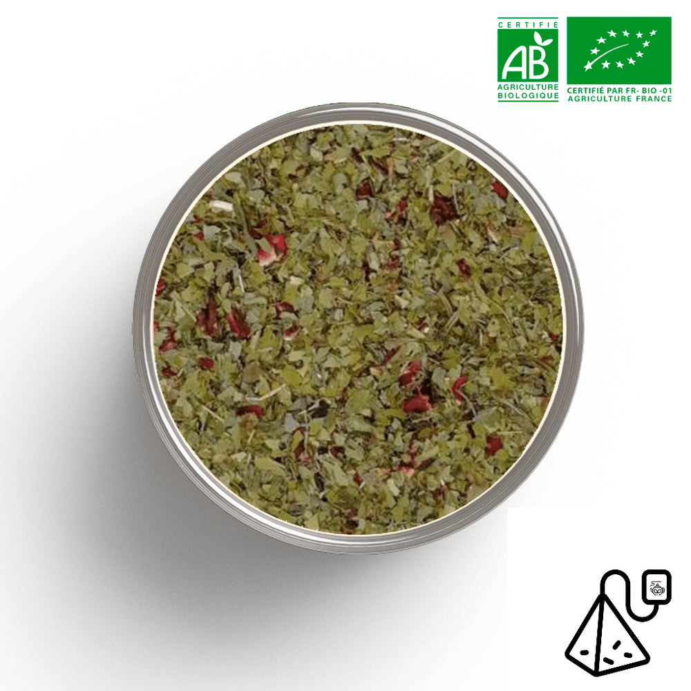 Tisane Transit BIO