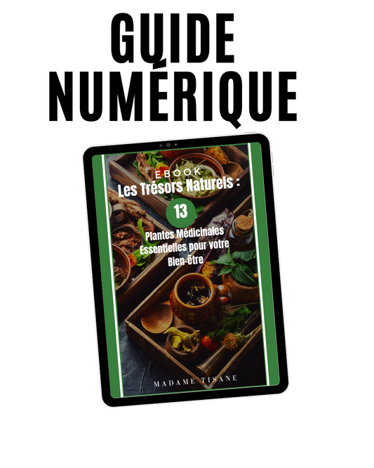 Guide Numérique " Les Trésors Naturels : 13 Plantes médicinales essentielles pour votre bien-être"